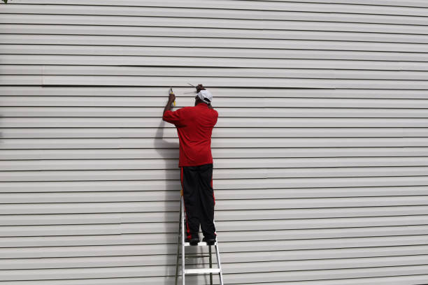 Best Steel Siding Installation  in Silver Creek, NY